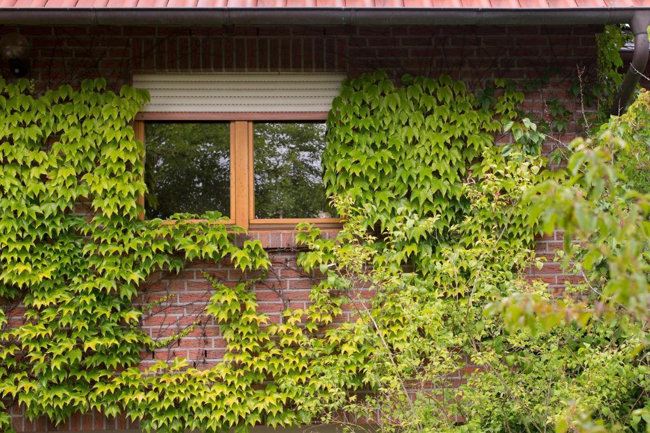 Ferienwohnung Meinersen Dış mekan fotoğraf